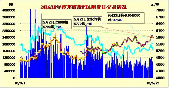 今日pta期货实时行情